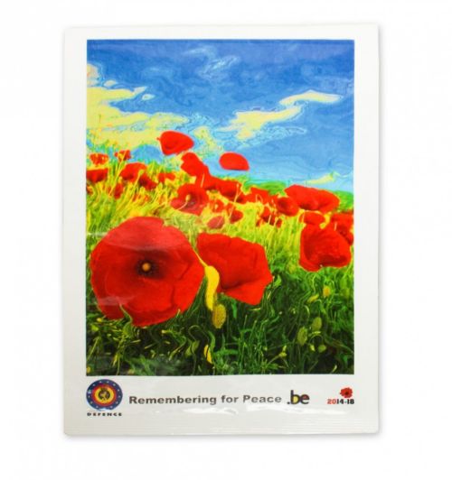 Tomatenvezelpapier 101 x 150 mm - Afbeelding 1